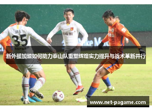 新外援加盟如何助力泰山队重塑辉煌实力提升与战术革新并行