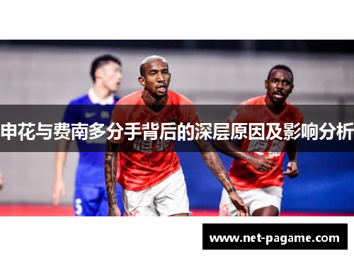 申花与费南多分手背后的深层原因及影响分析