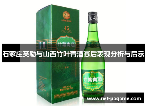 石家庄英励与山西竹叶青酒赛后表现分析与启示