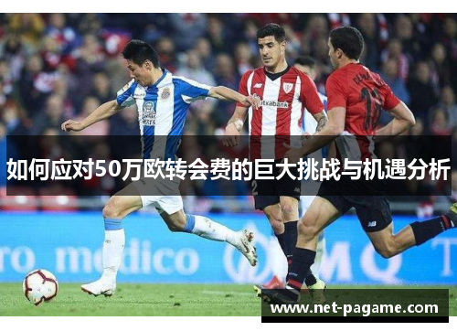 如何应对50万欧转会费的巨大挑战与机遇分析