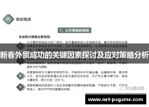 新春外贸成功的关键因素探讨及应对策略分析