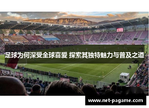 足球为何深受全球喜爱 探索其独特魅力与普及之道