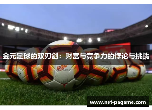 金元足球的双刃剑：财富与竞争力的悖论与挑战