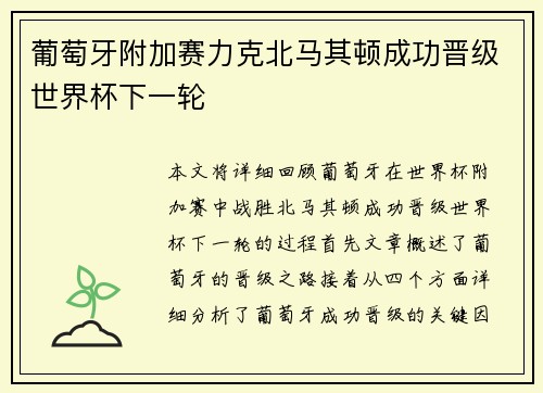 葡萄牙附加赛力克北马其顿成功晋级世界杯下一轮