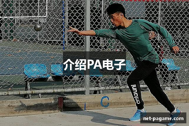介绍PA电子